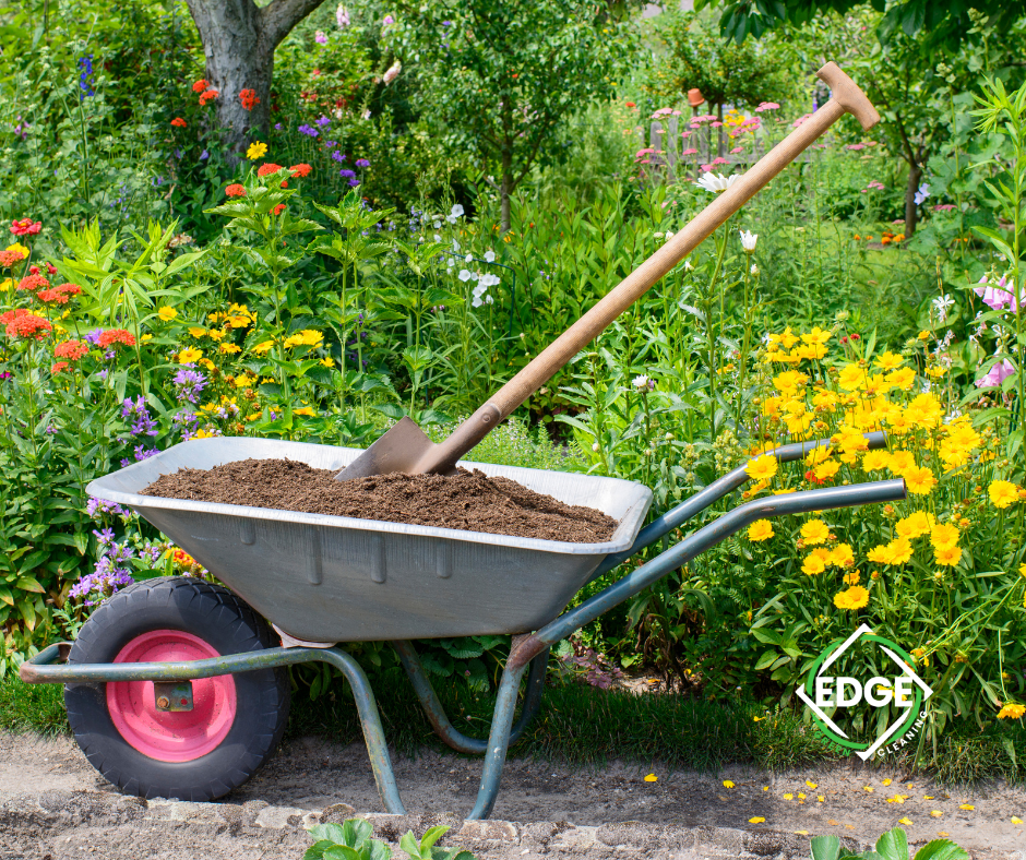 A Guide to Enriching Your Garden